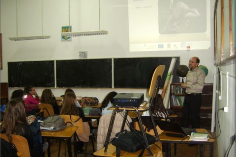 lunca muresului