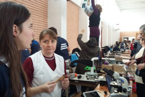 festivalul stiintei