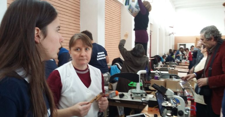 festivalul stiintei