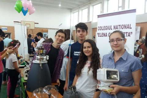 Fest 5